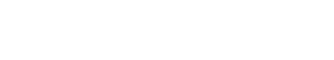 TOYO SAFETY